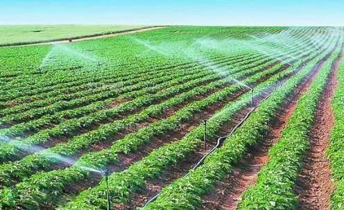 美女被c到高潮网站全部农田高 效节水灌溉